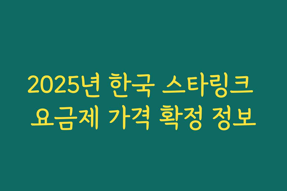 2025년 한국 스타링크 요금제 가격 확정 정보