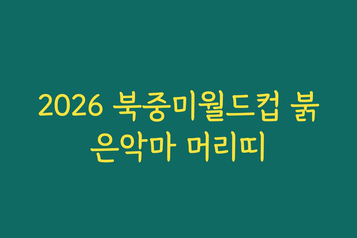 2026 북중미월드컵 붉은악마 머리띠