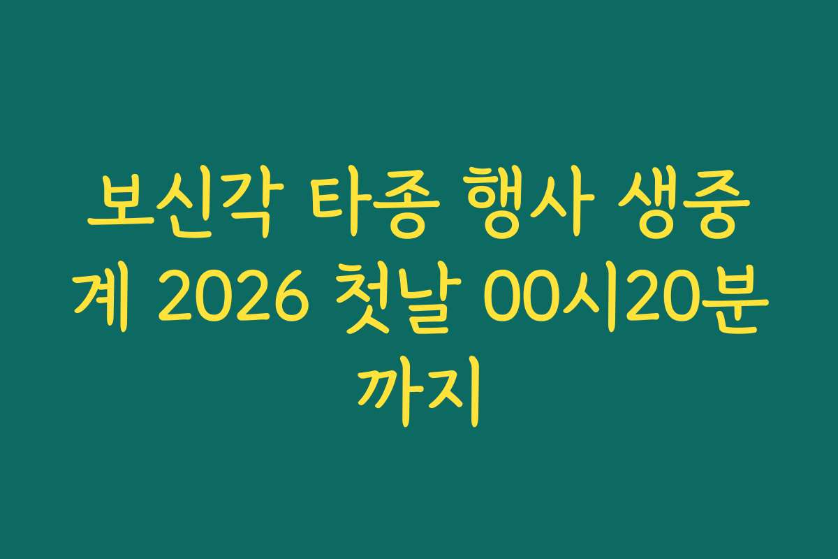 보신각 타종 행사 생중계 2026 첫날 00시20분까지