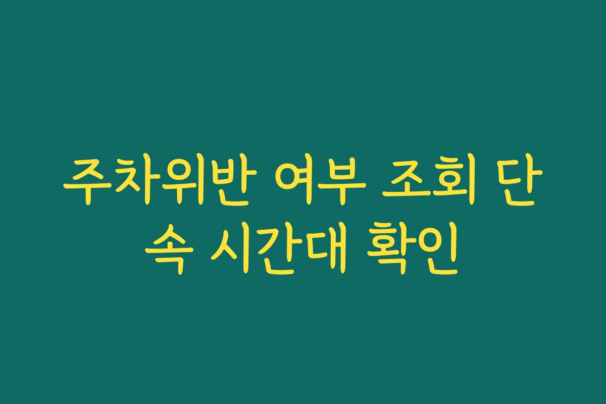 주차위반 여부 조회 단속 시간대 확인