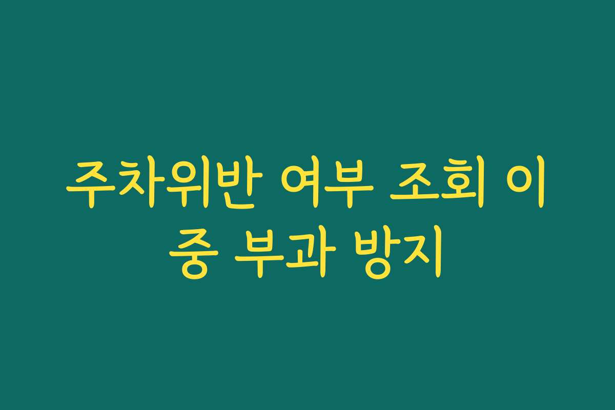 주차위반 여부 조회 이중 부과 방지
