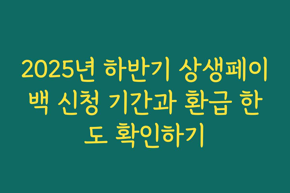 2025년 하반기 상생페이백 신청 기간과 환급 한도 확인하기
