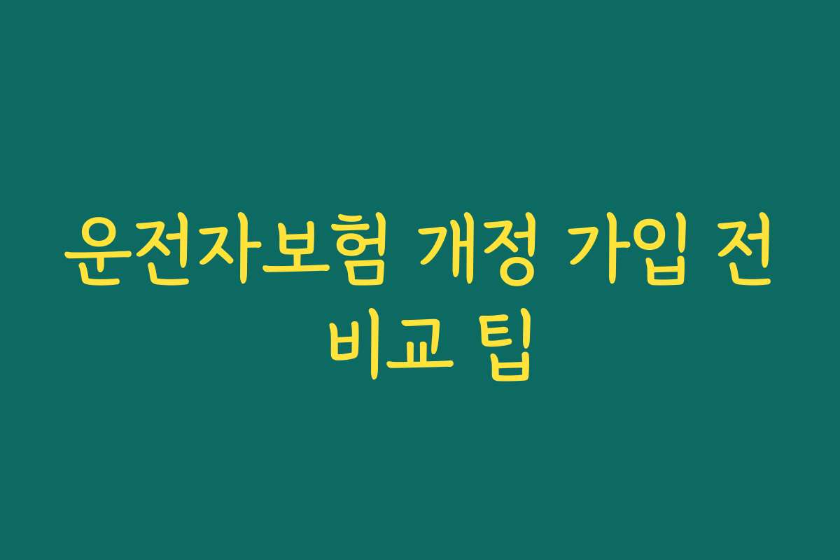 운전자보험 개정 가입 전 비교 팁