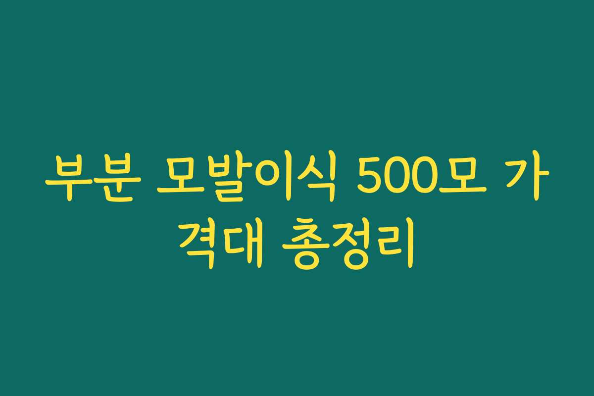 부분 모발이식 500모 가격대 총정리