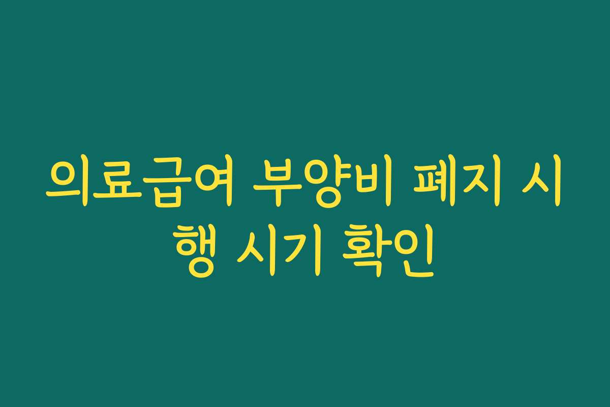 의료급여 부양비 폐지 시행 시기 확인