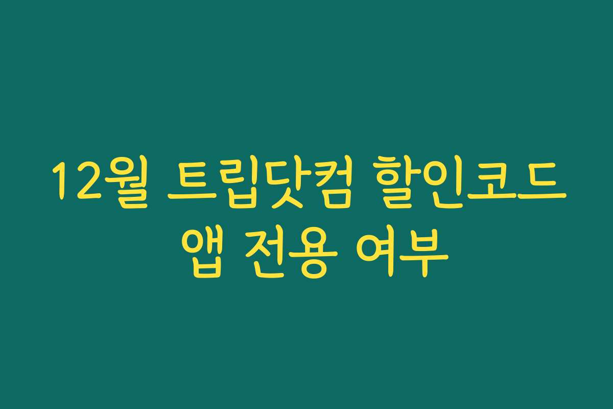 12월 트립닷컴 할인코드 앱 전용 여부