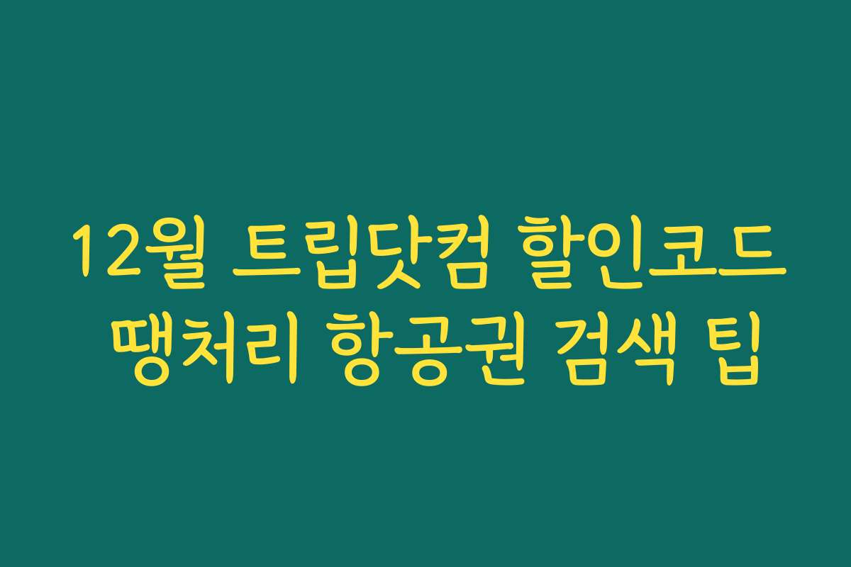 12월 트립닷컴 할인코드 땡처리 항공권 검색 팁