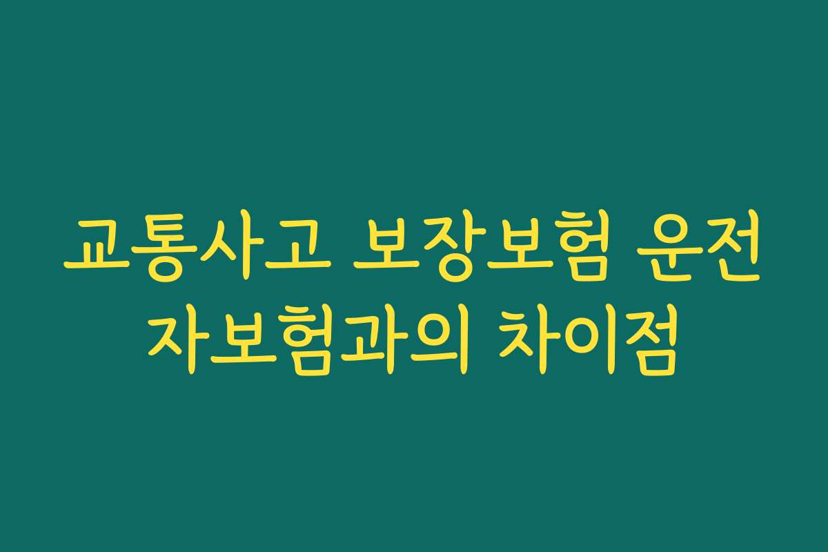 교통사고 보장보험 운전자보험과의 차이점
