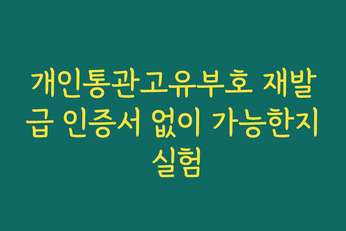 개인통관고유부호 재발급 인증서 없이 가능한지 실험