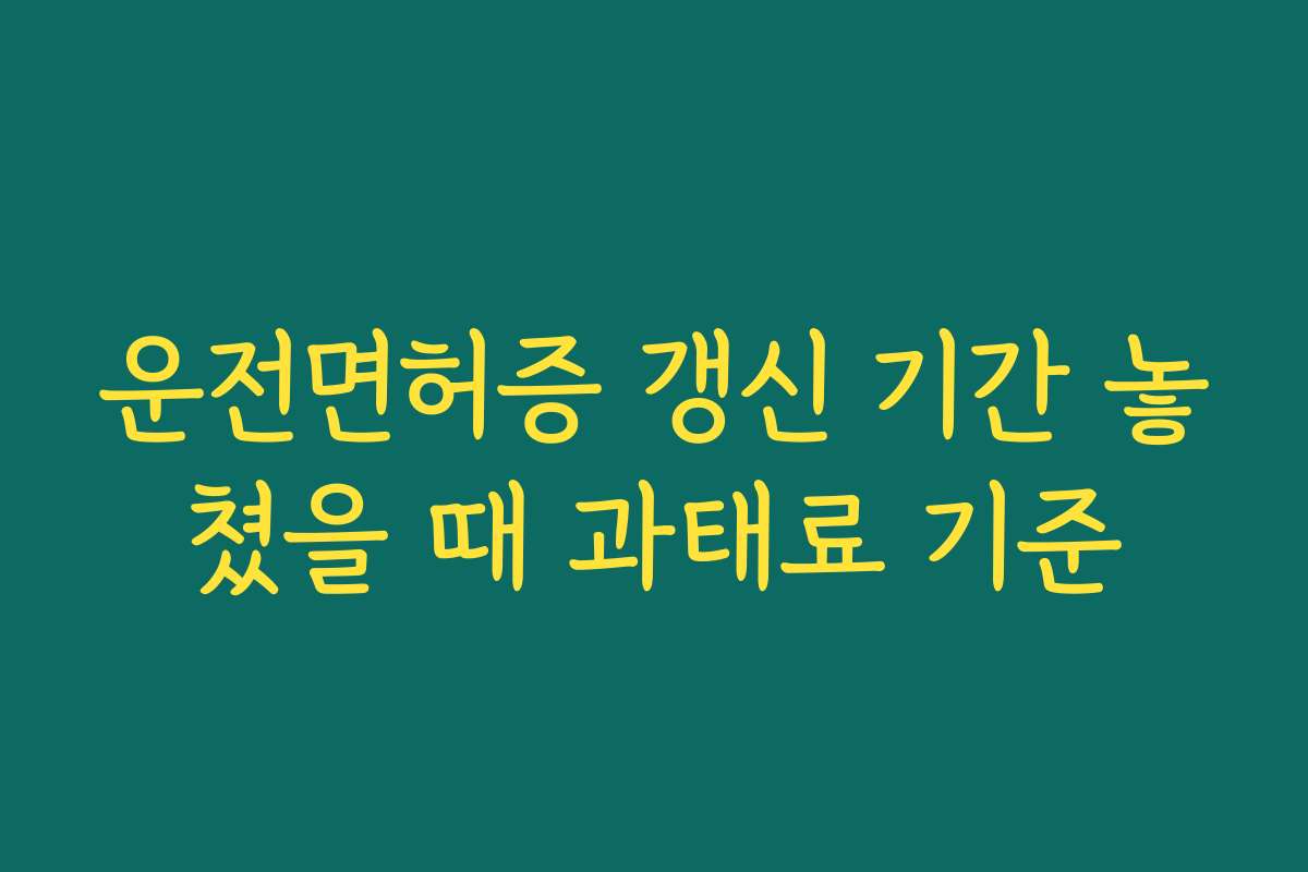 운전면허증 갱신 기간 놓쳤을 때 과태료 기준
