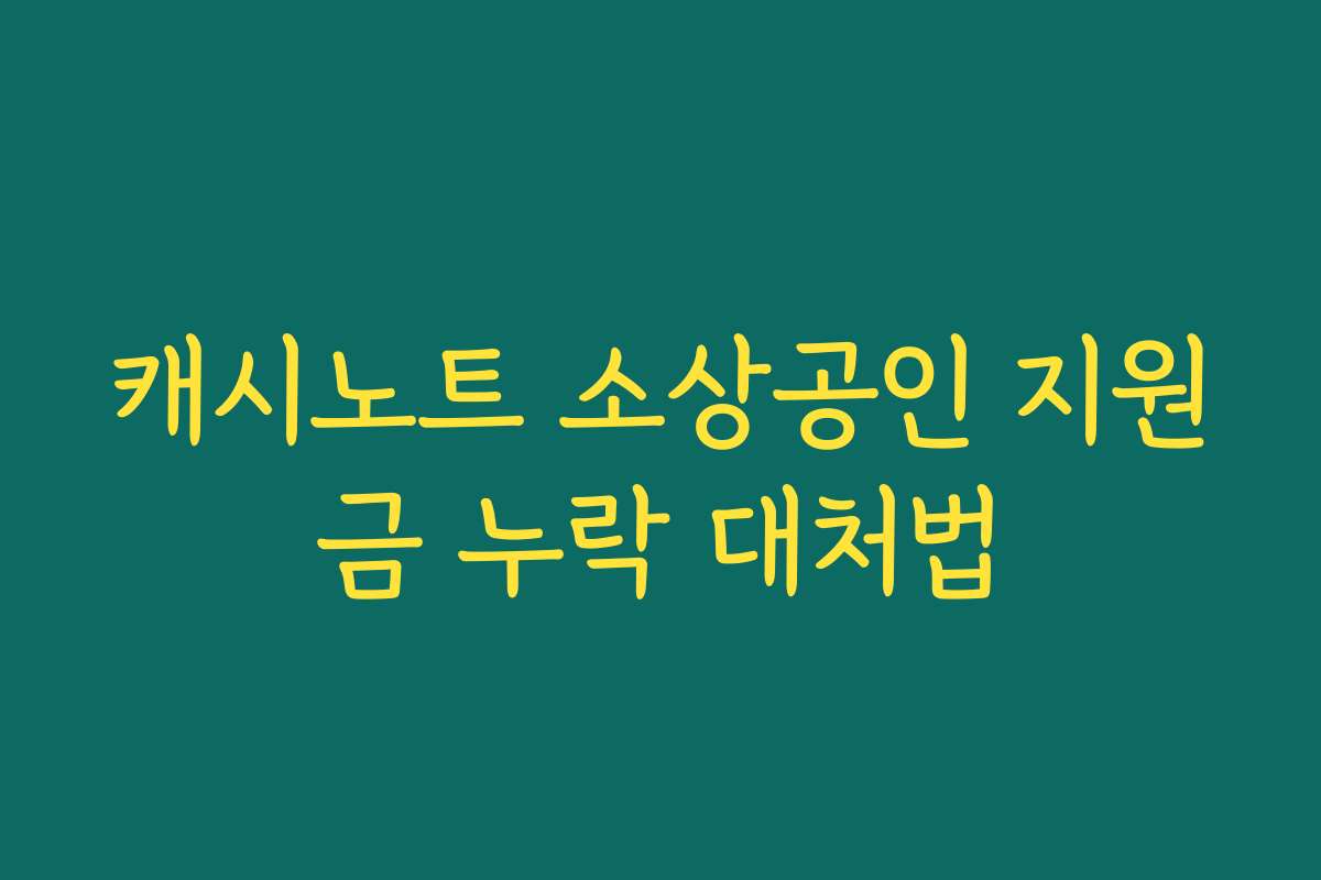 캐시노트 소상공인 지원금 누락 대처법