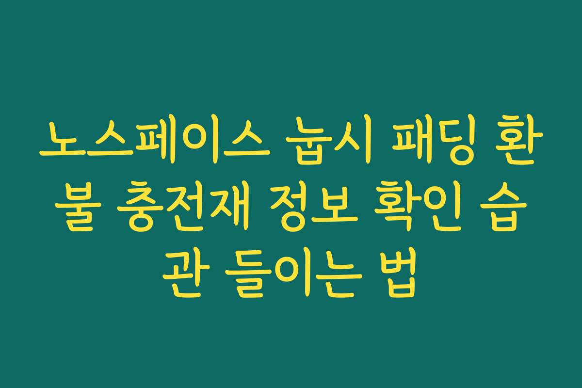 노스페이스 눕시 패딩 환불 충전재 정보 확인 습관 들이는 법