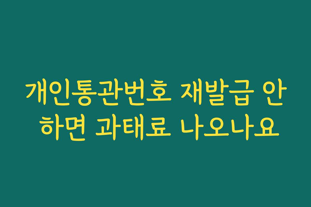 개인통관번호 재발급 안 하면 과태료 나오나요