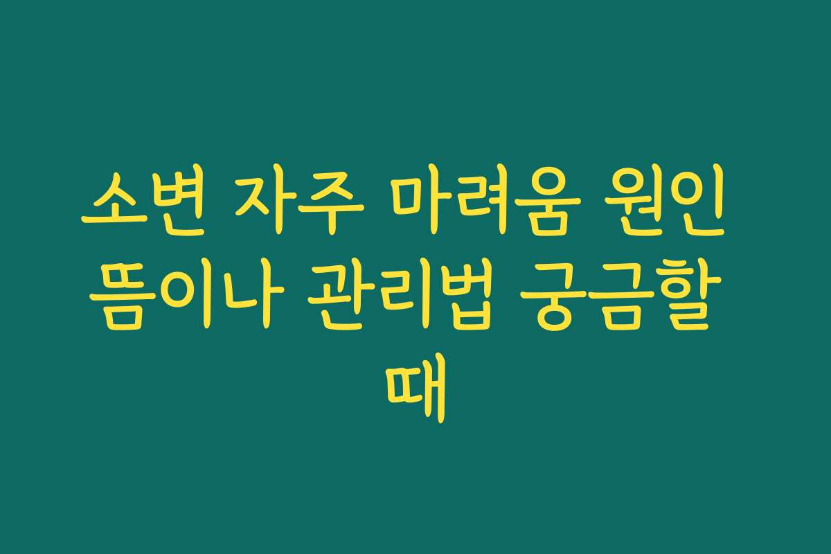 소변 자주 마려움 원인 뜸이나 관리법 궁금할 때