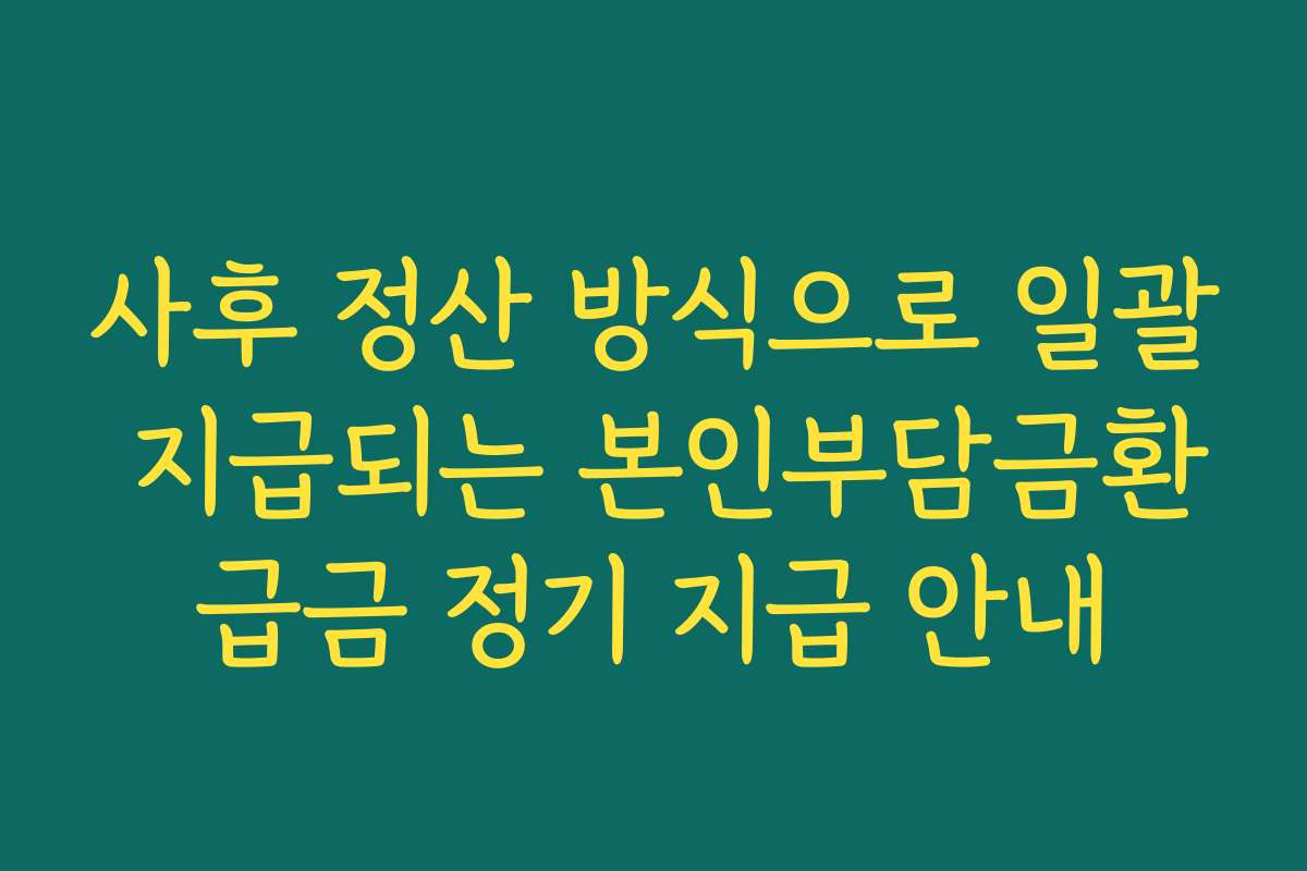 사후 정산 방식으로 일괄 지급되는 본인부담금환급금 정기 지급 안내