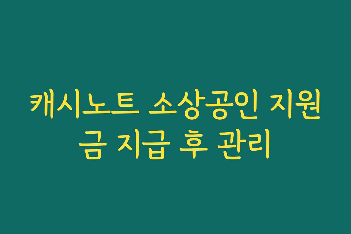 캐시노트 소상공인 지원금 지급 후 관리