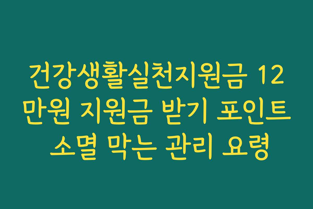 건강생활실천지원금 12만원 지원금 받기 포인트 소멸 막는 관리 요령