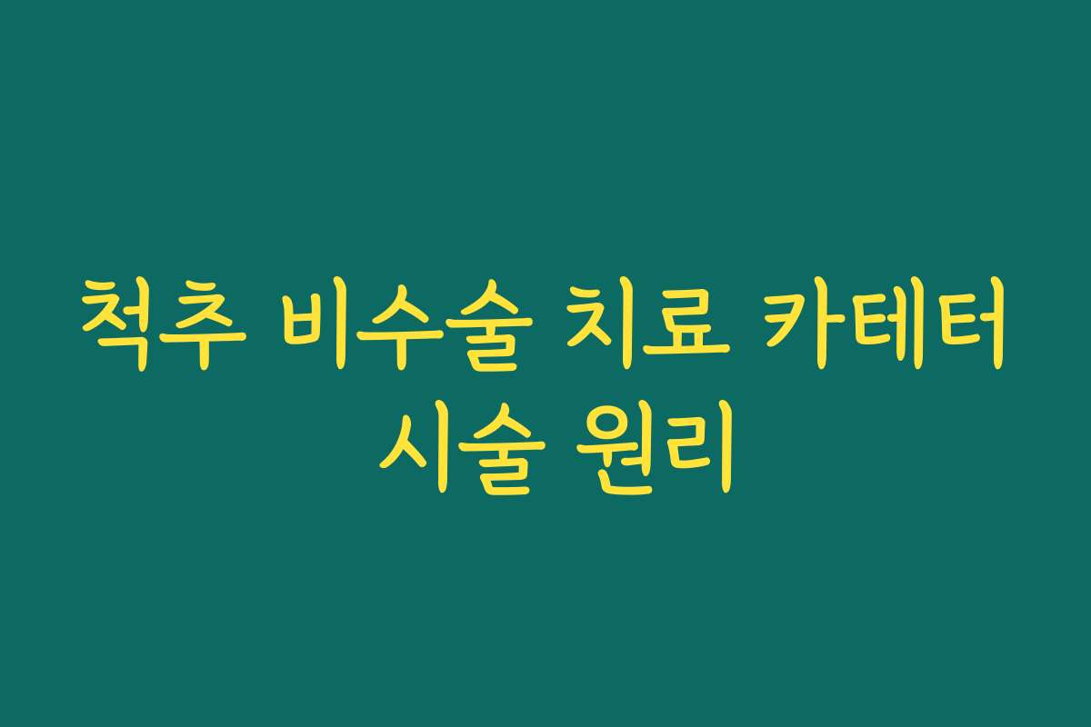 척추 비수술 치료 카테터 시술 원리