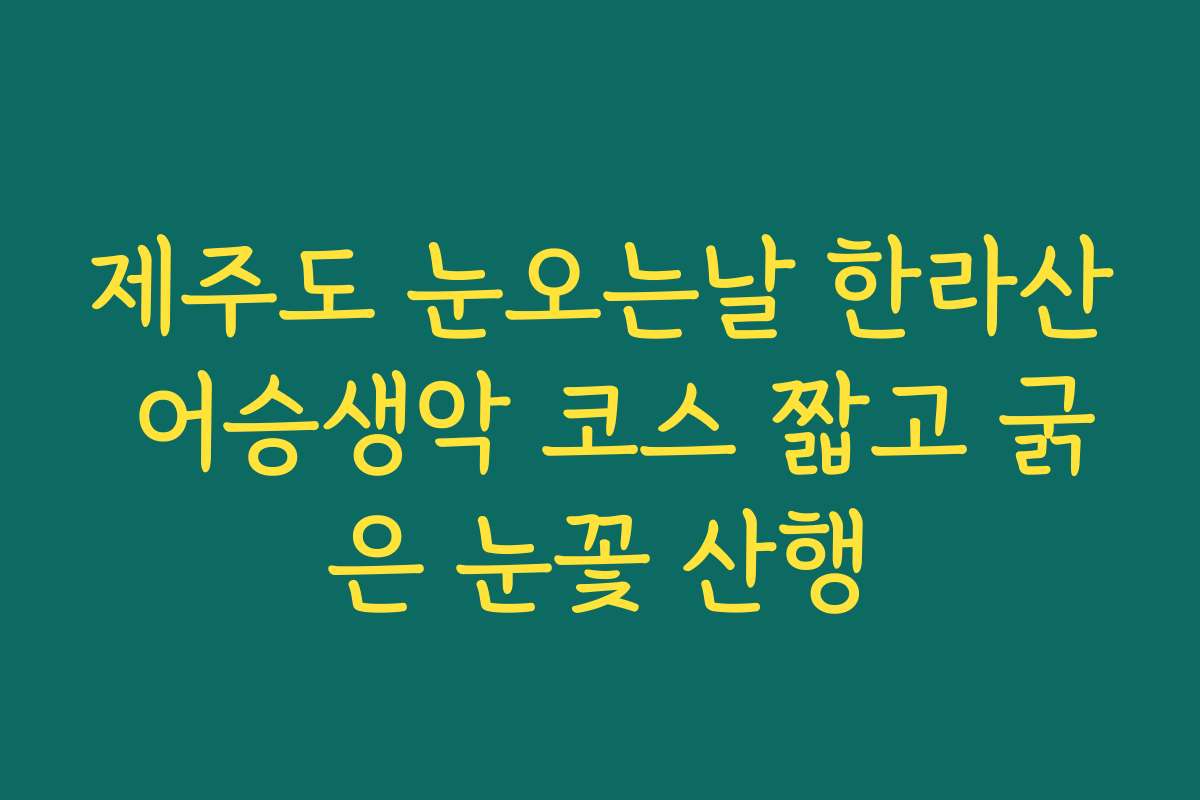 제주도 눈오는날 한라산 어승생악 코스 짧고 굵은 눈꽃 산행