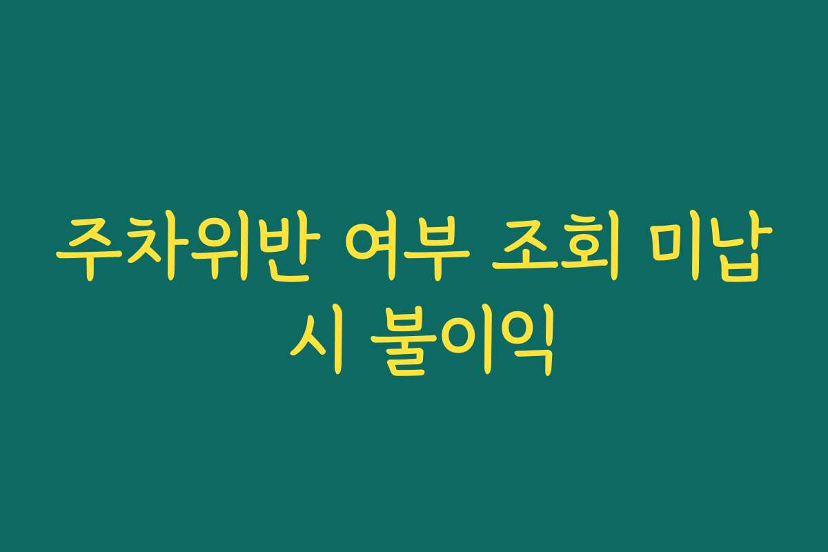 주차위반 여부 조회 미납 시 불이익