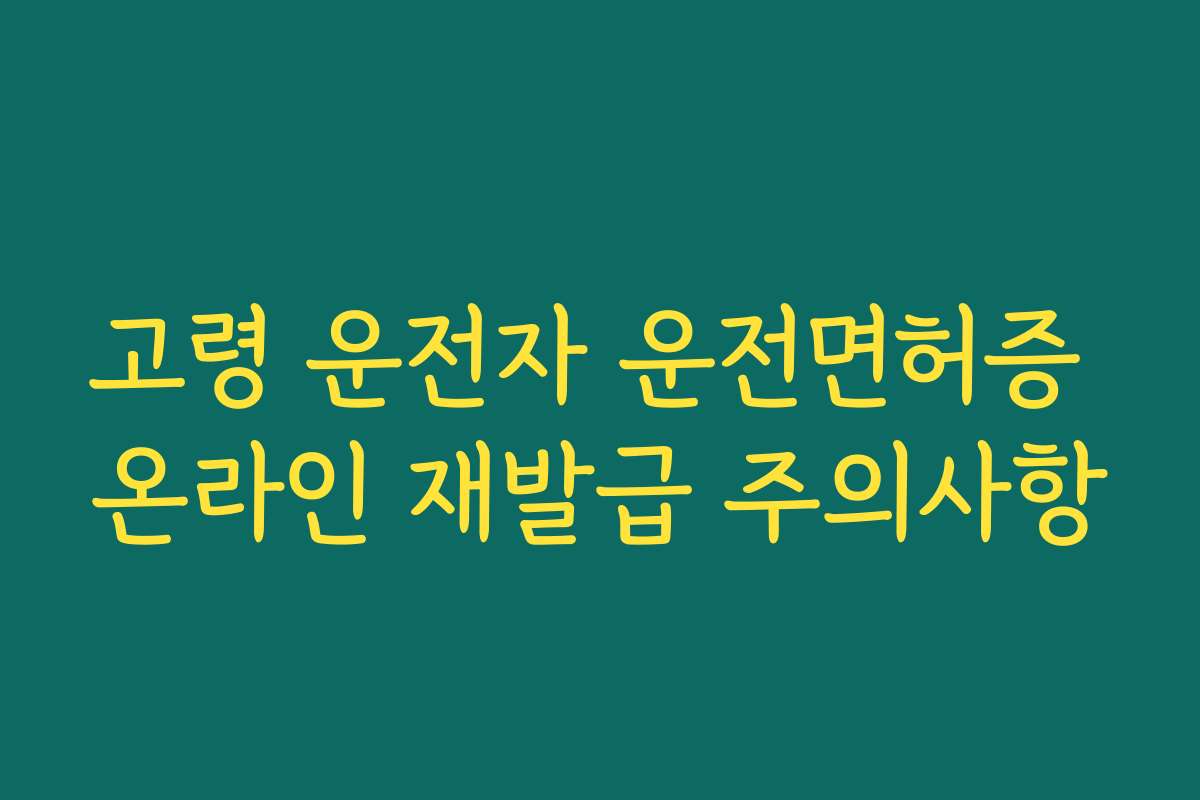 고령 운전자 운전면허증 온라인 재발급 주의사항