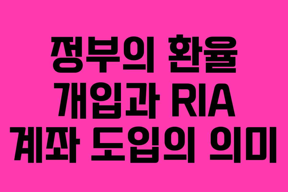 정부의 환율 개입과 RIA 계좌 도입의 의미