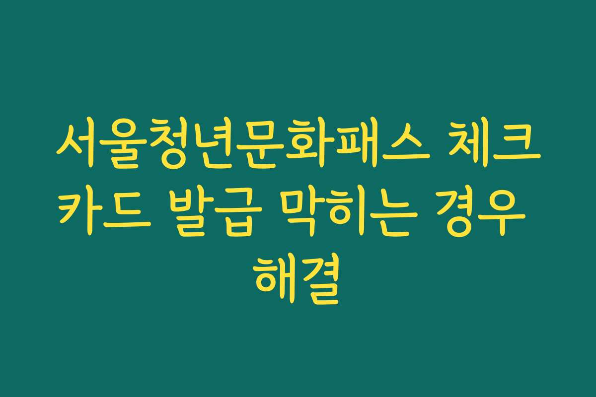 서울청년문화패스 체크카드 발급 막히는 경우 해결