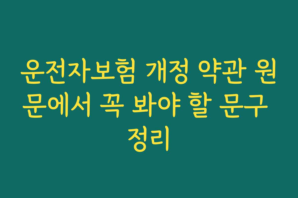 운전자보험 개정 약관 원문에서 꼭 봐야 할 문구 정리