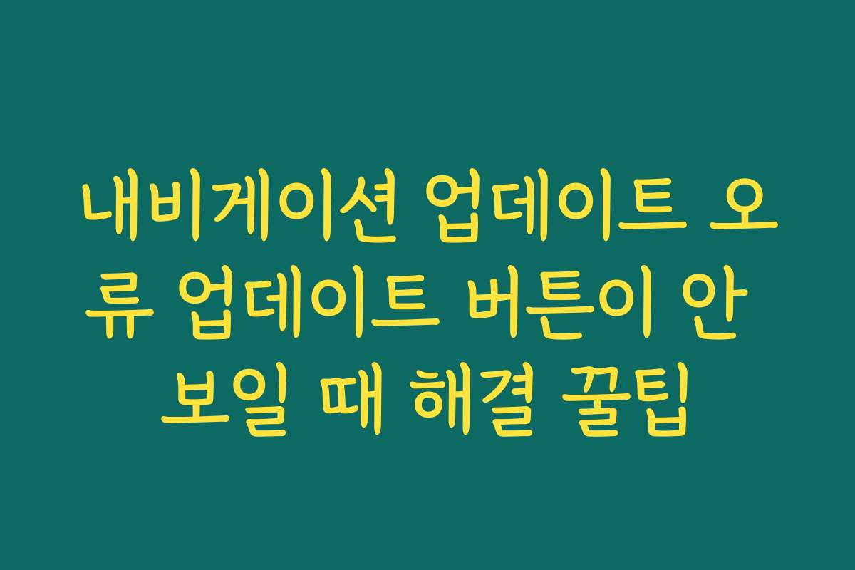 내비게이션 업데이트 오류 업데이트 버튼이 안 보일 때 해결 꿀팁