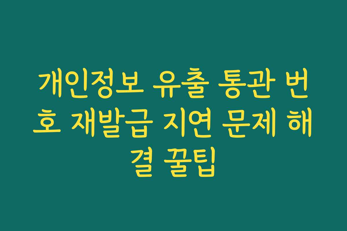 개인정보 유출 통관 번호 재발급 지연 문제 해결 꿀팁