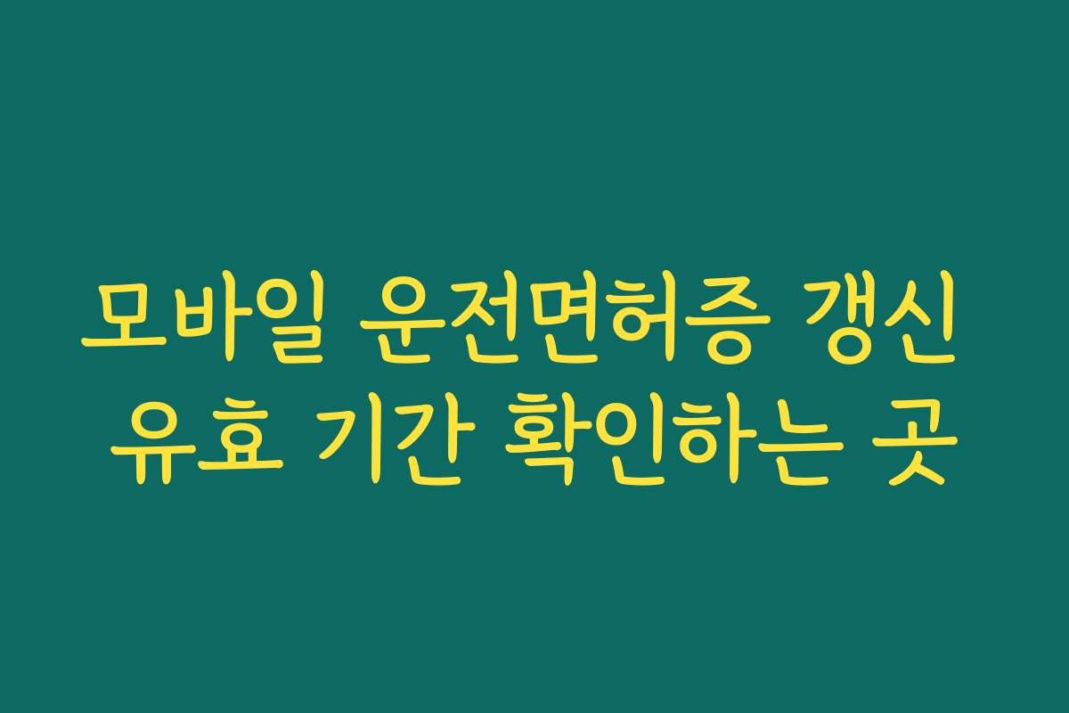 모바일 운전면허증 갱신 유효 기간 확인하는 곳