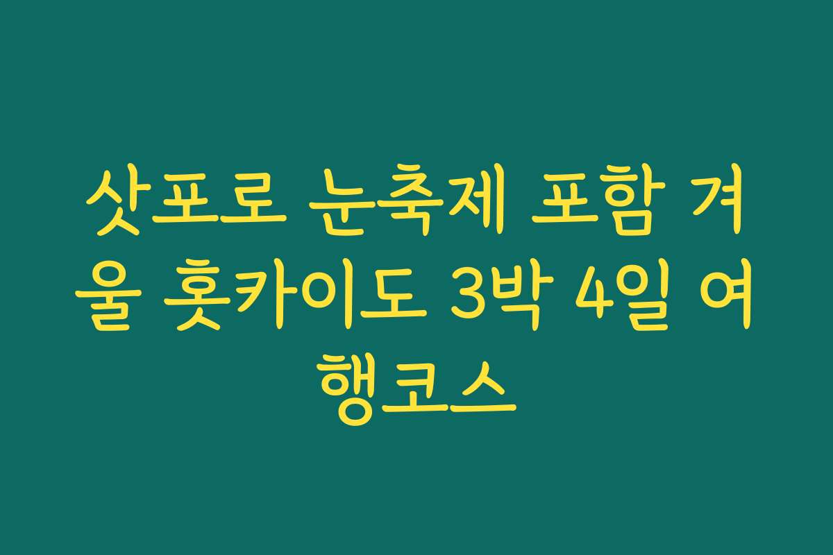 삿포로 눈축제 포함 겨울 홋카이도 3박 4일 여행코스