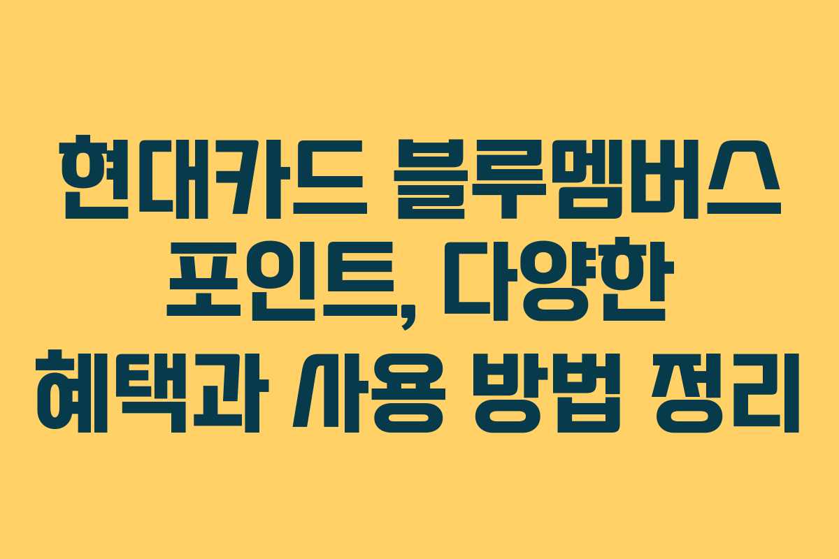 현대카드 블루멤버스 포인트, 다양한 혜택과 사용 방법 정리