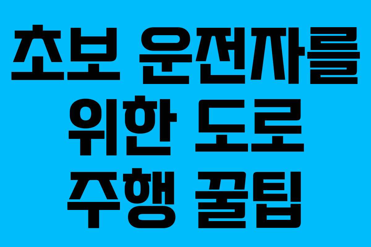 초보 운전자를 위한 도로 주행 꿀팁