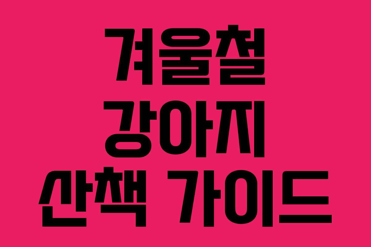 겨울철 강아지 산책 가이드