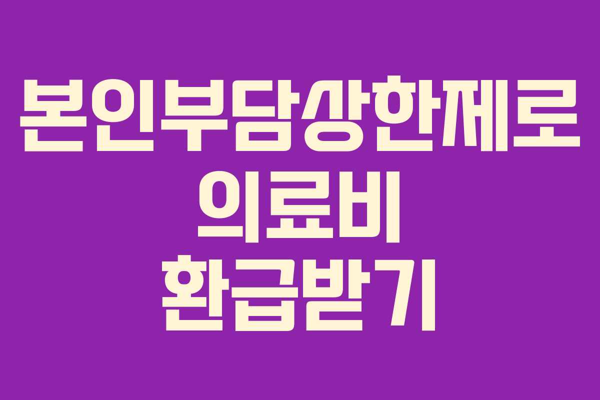 본인부담상한제로 의료비 환급받기