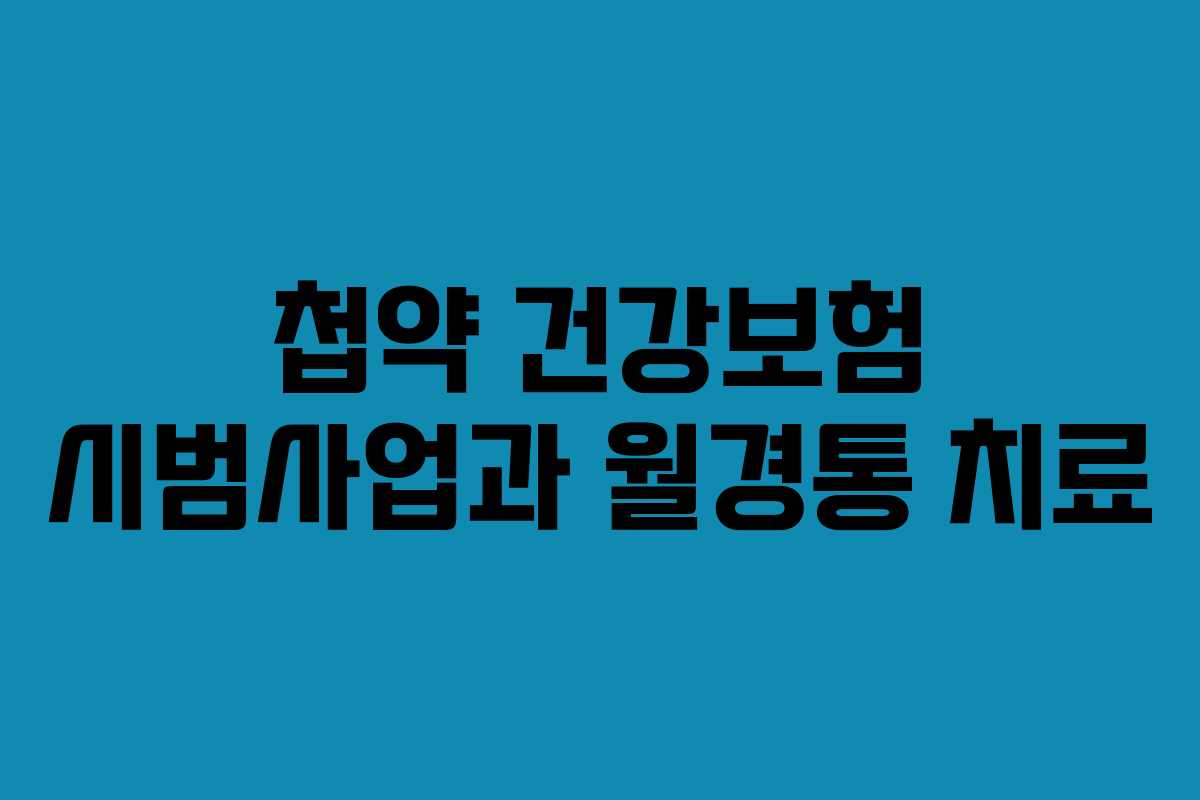첩약 건강보험 시범사업과 월경통 치료
