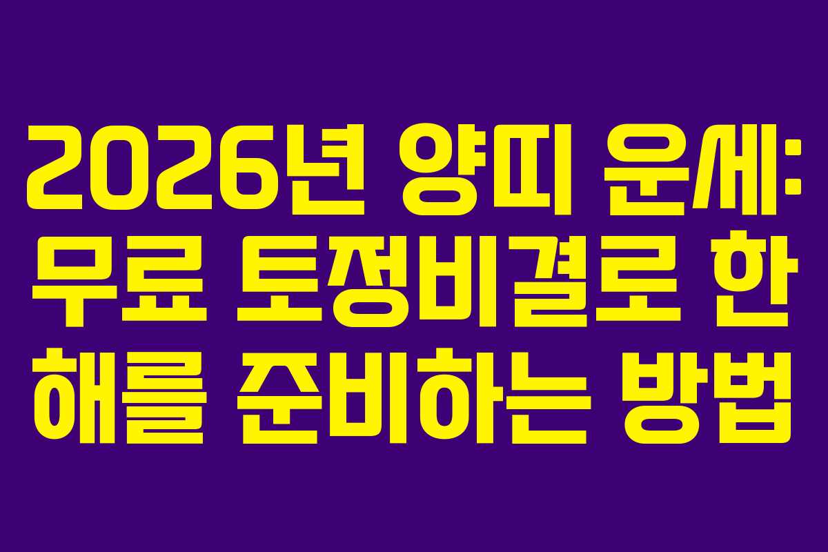 2026년 양띠 운세: 무료 토정비결로 한 해를 준비하는 방법