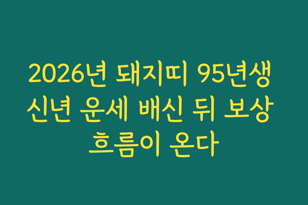 2026년 돼지띠 95년생 신년 운세 배신 뒤 보상 흐름이 온다