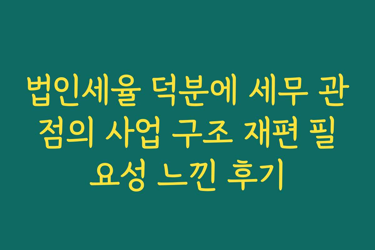 법인세율 덕분에 세무 관점의 사업 구조 재편 필요성 느낀 후기