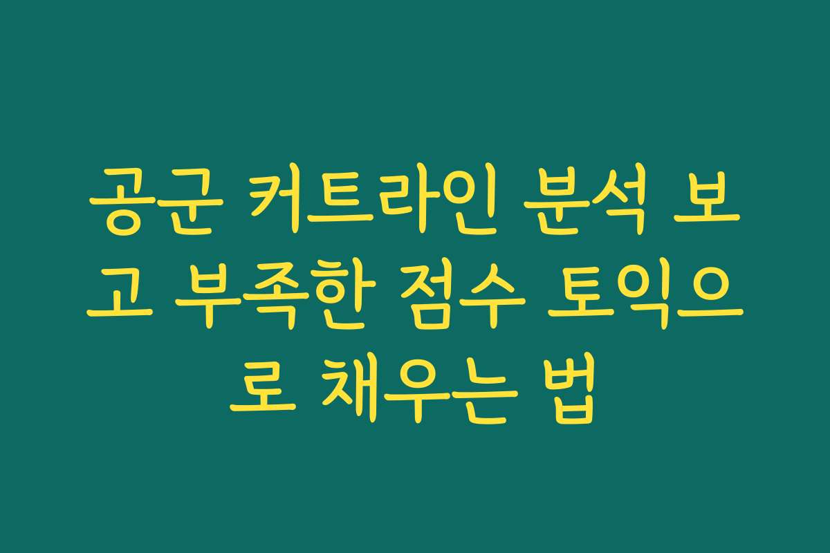 공군 커트라인 분석 보고 부족한 점수 토익으로 채우는 법