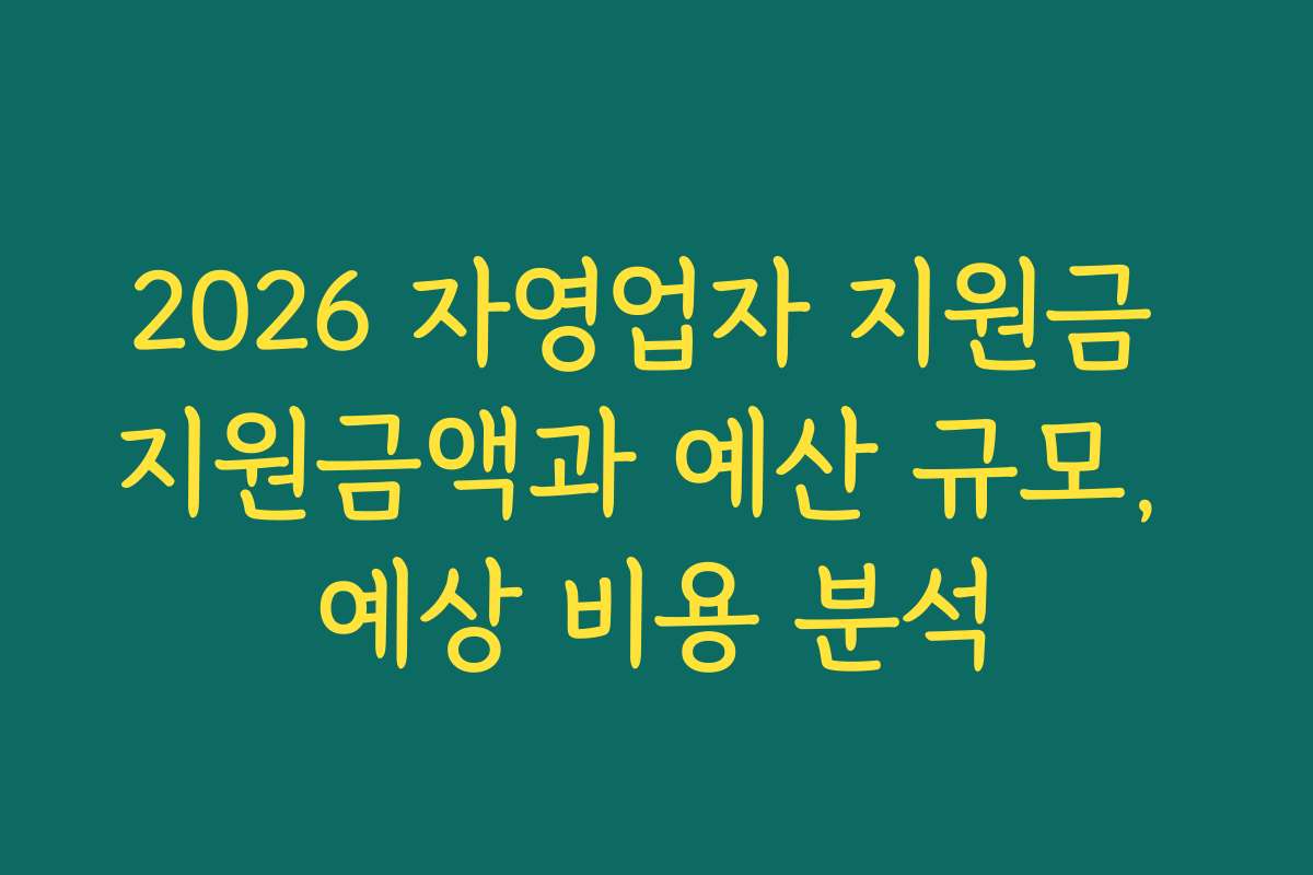 2026 자영업자 지원금 지원금액과 예산 규모, 예상 비용 분석