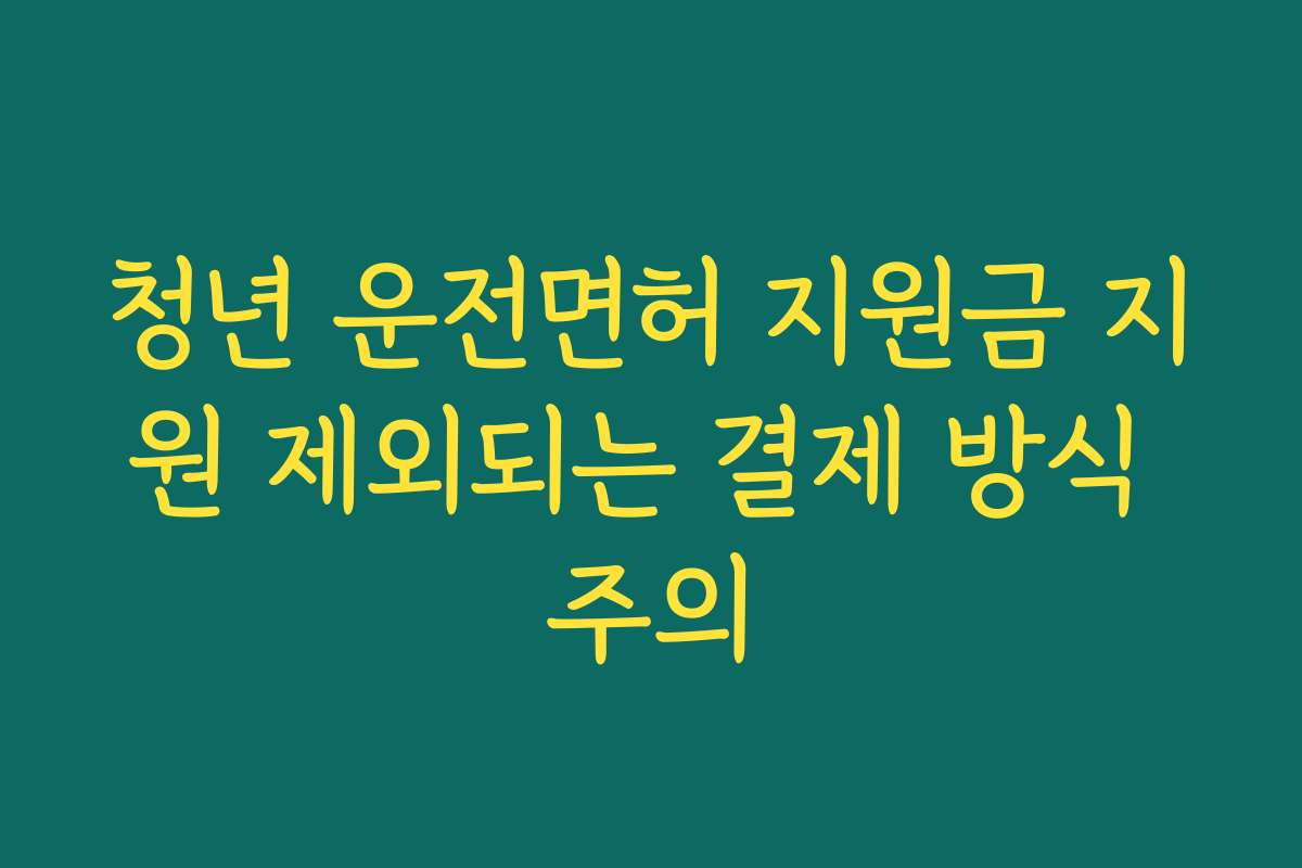 청년 운전면허 지원금 지원 제외되는 결제 방식 주의