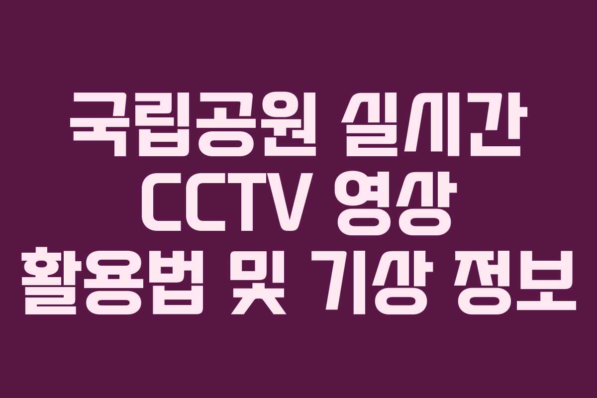 국립공원 실시간 CCTV 영상 활용법 및 기상 정보