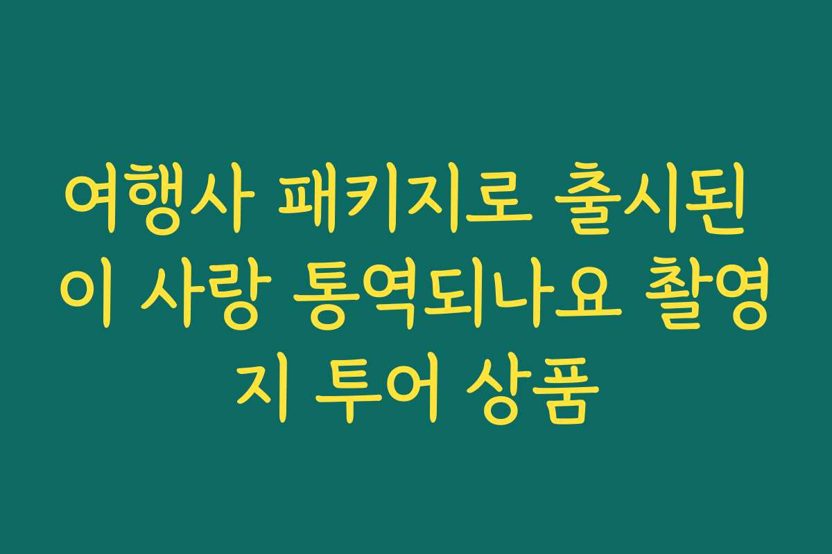 여행사 패키지로 출시된 이 사랑 통역되나요 촬영지 투어 상품