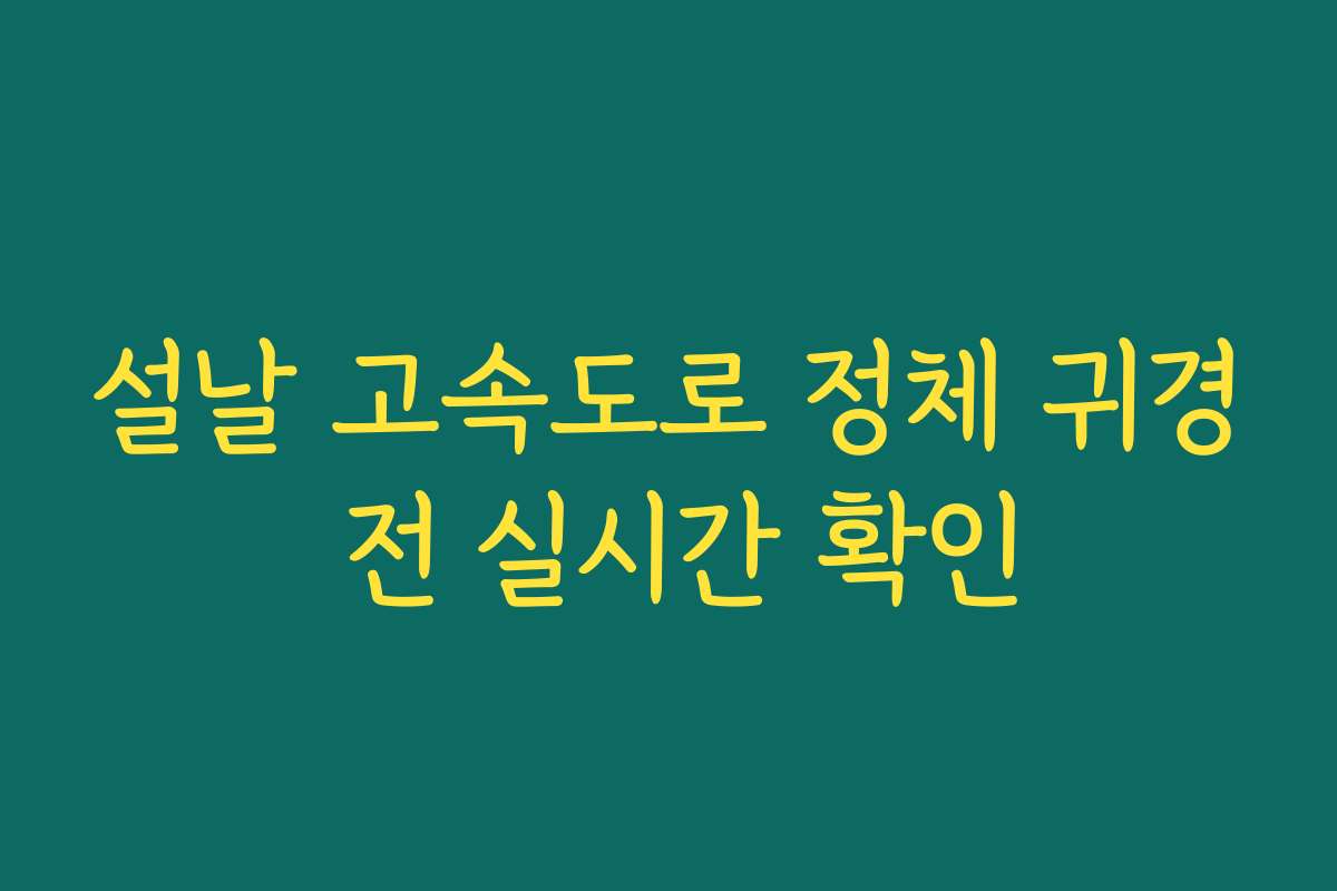 설날 고속도로 정체 귀경 전 실시간 확인