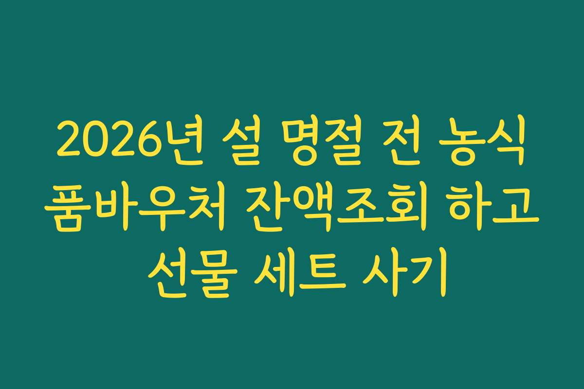2026년 설 명절 전 농식품바우처 잔액조회 하고 선물 세트 사기