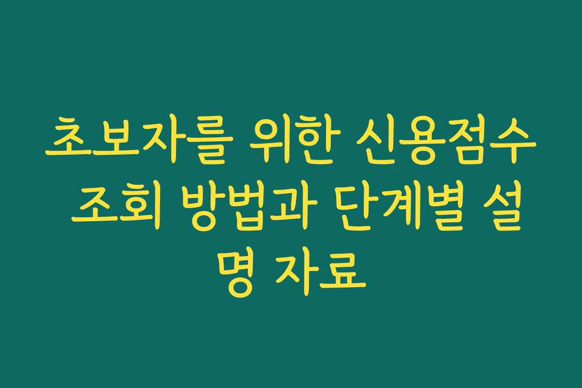 초보자를 위한 신용점수 조회 방법과 단계별 설명 자료