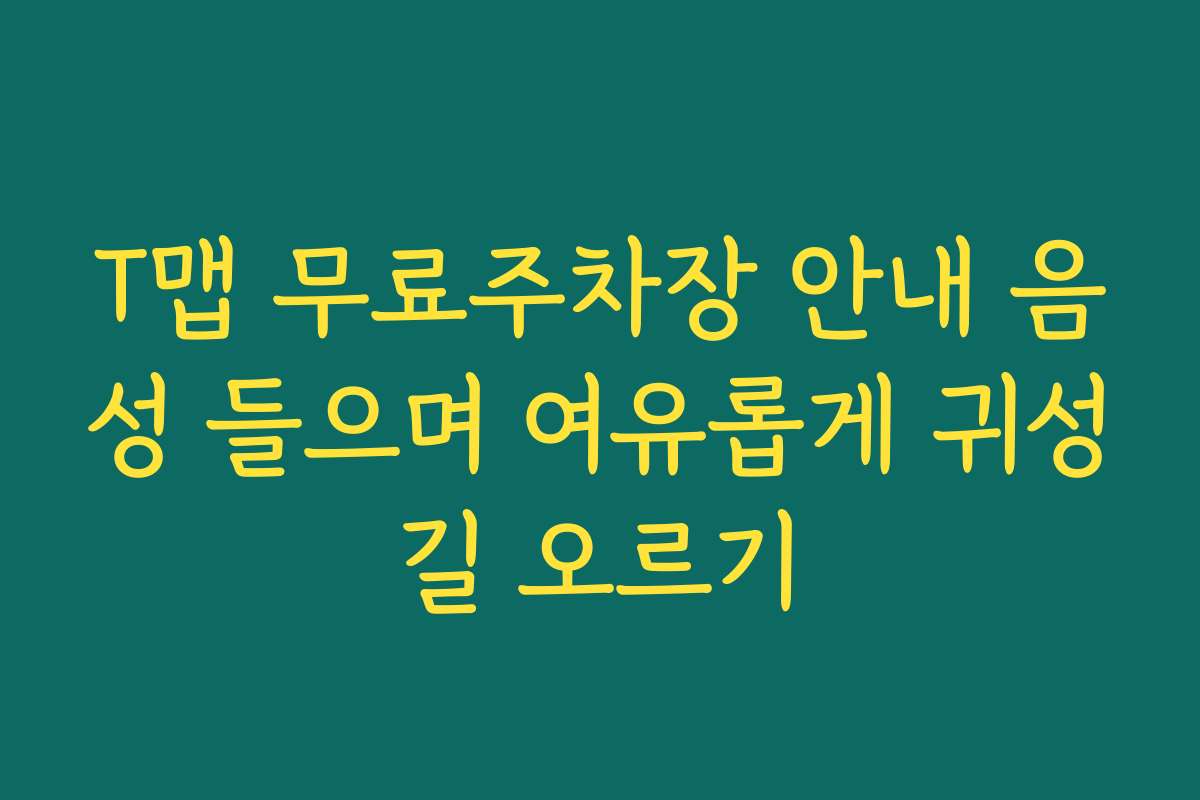 T맵 무료주차장 안내 음성 들으며 여유롭게 귀성길 오르기