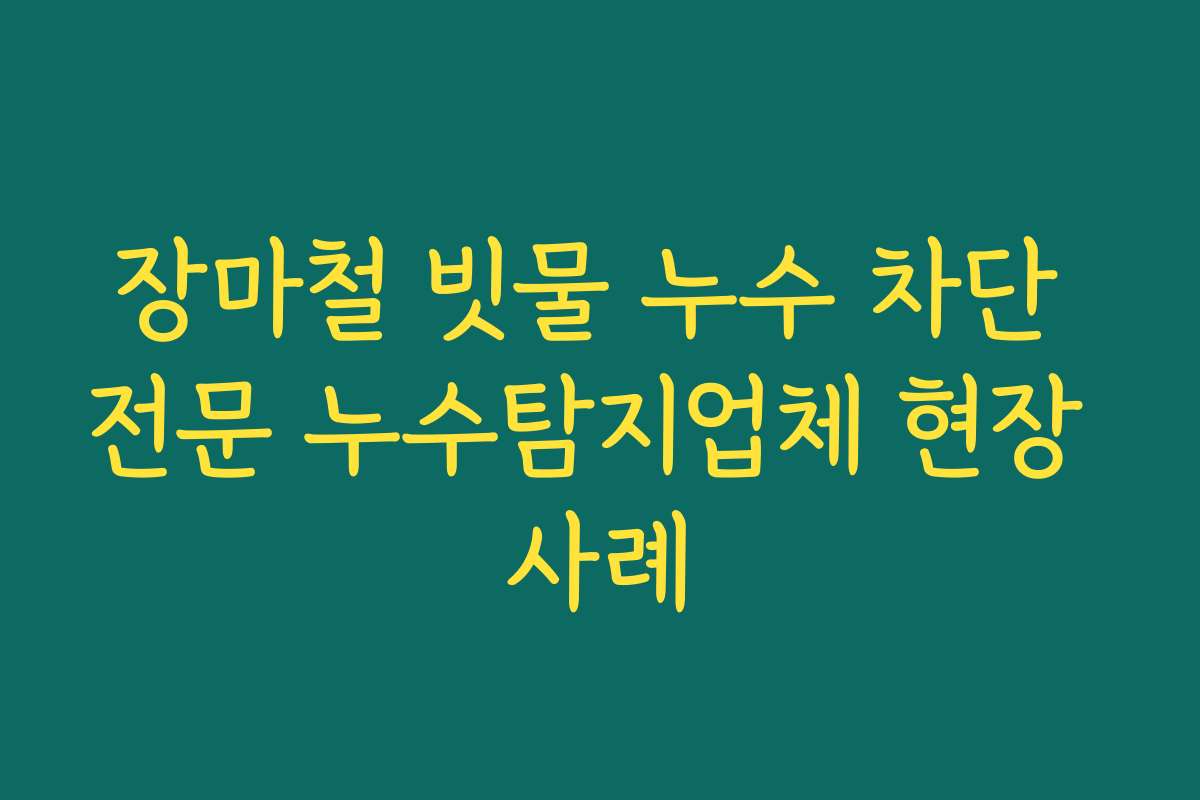 장마철 빗물 누수 차단 전문 누수탐지업체 현장 사례